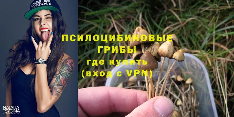 Галлюциногенные грибы Psilocybine cubensis  Серпухов 